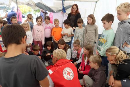 Slovenija oživlja 14 Foto Ljubo Vukelič